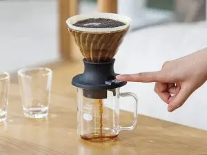 Hario Immersion V60