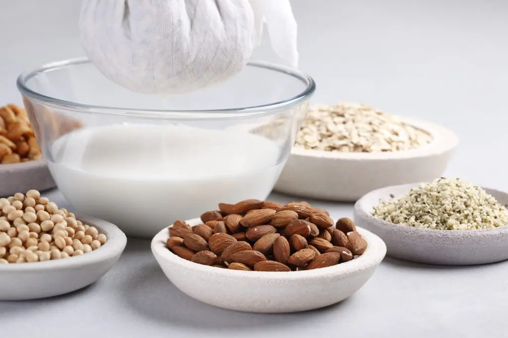 vegan bitkisel süt