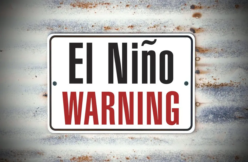 EL NİNO kahve el nino