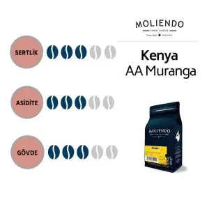 kahve kenya çekirdekler moliendo